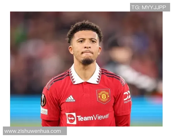 国王杯精彩对决多特蒙德大胜曼联神扑时刻引发全场狂欢